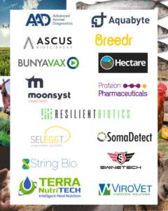 Startups at Animal AgTech Europe in Amsterdam
