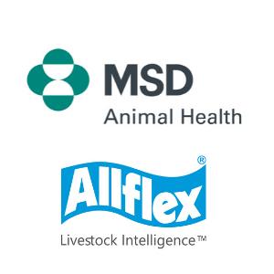 MSD ANIMAL HEALTH 