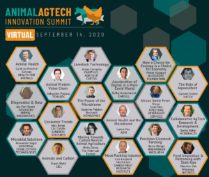 Roundtables - Virtual Animal AgTech Innovation Summit