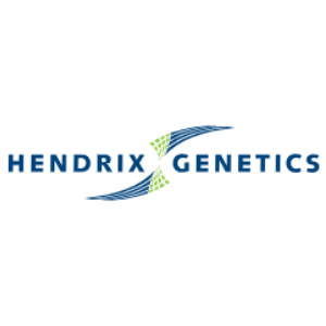 HENDRIX GENETICS 